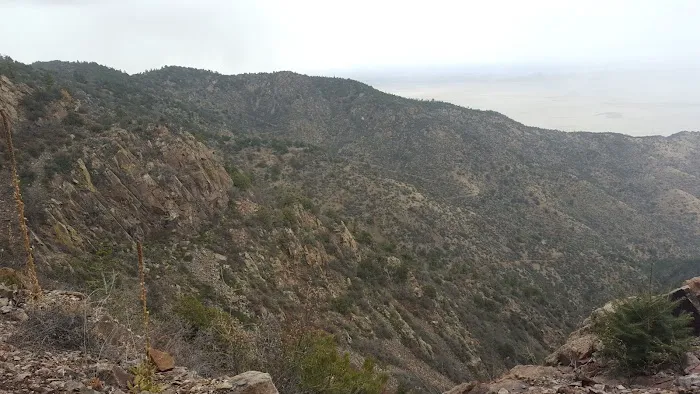 Water Canyon Group Shelter Picnic Site (recgovnpsdata) 2