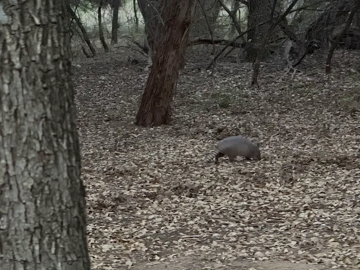 Oak Grove Campground 0