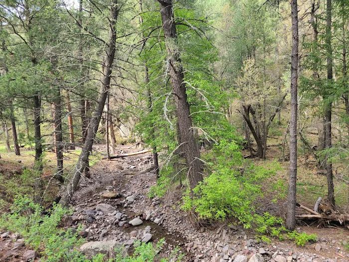 Black Canyon Campground - Upper (recgovnpsdata) 3