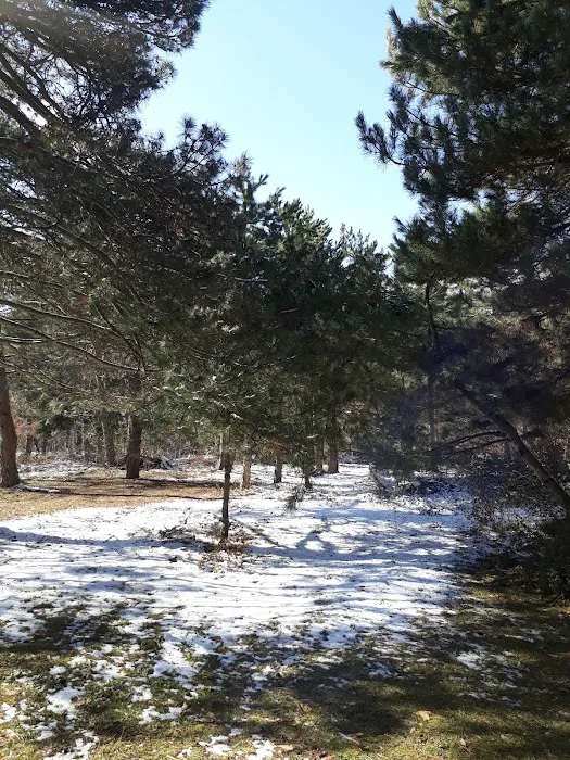 Black Canyon Campground - Upper (recgovnpsdata) 1