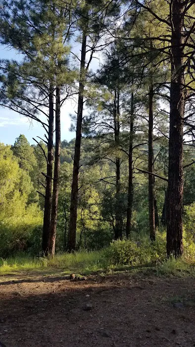 Black Canyon Campground - Upper (recgovnpsdata) 0