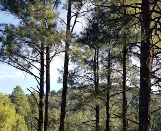 Black Canyon Campground - Upper (recgovnpsdata)