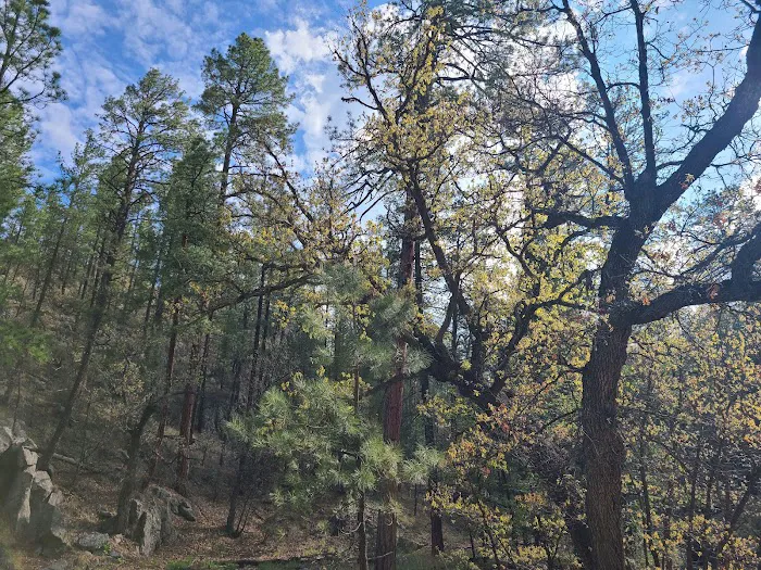 Black Canyon Campground - Upper (recgovnpsdata) 9