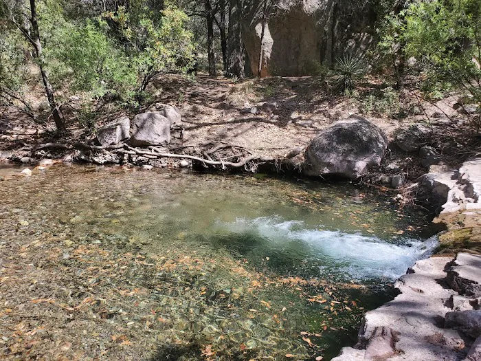Idlewilde Campground 2