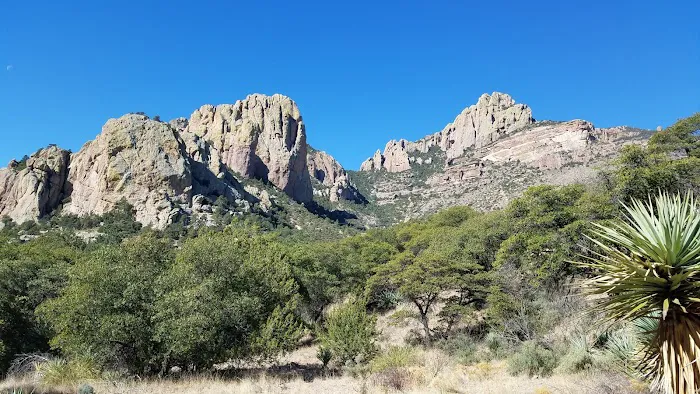 Idlewilde Campground 0