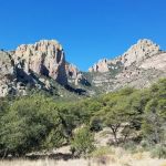 Idlewilde Campground