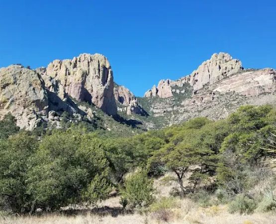 Idlewilde Campground
