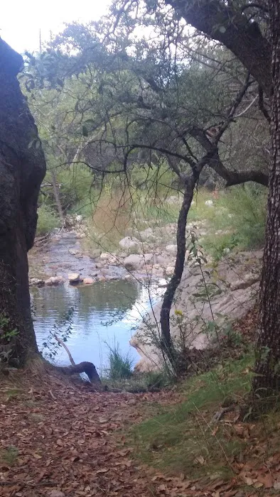 Idlewilde Campground 7