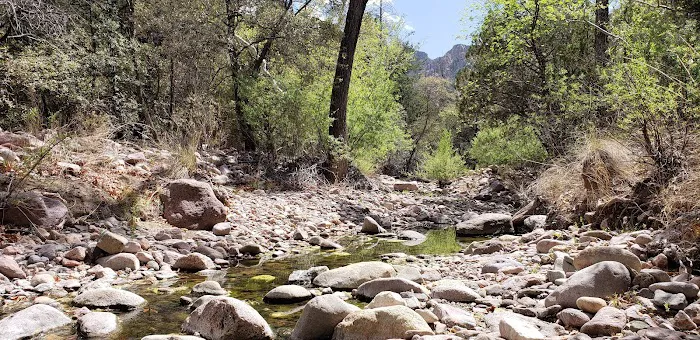 Idlewilde Campground 5