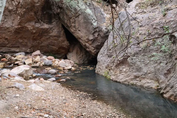 Idlewilde Campground 8