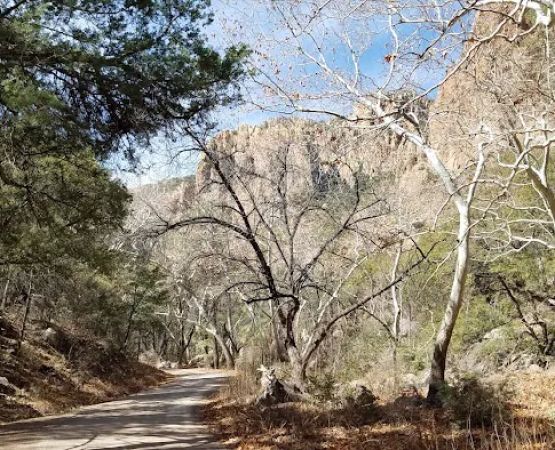 Stewart Campground
