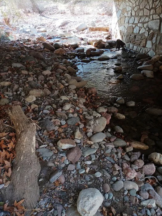 Stewart Campground 9