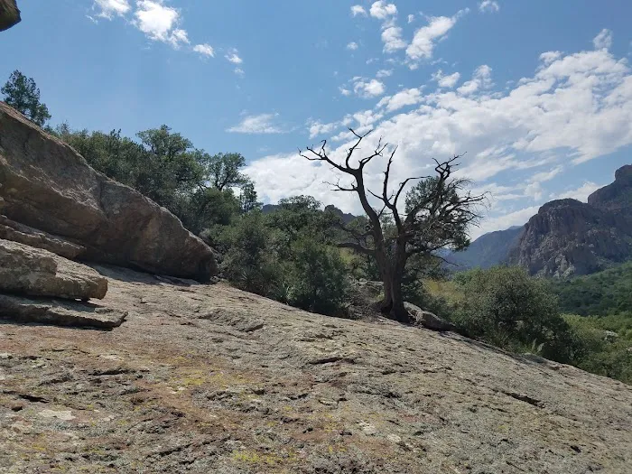 Stewart Campground 4