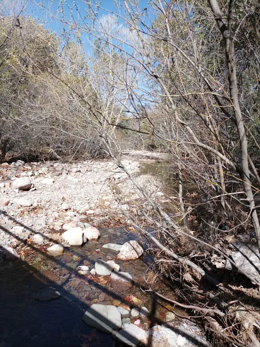 Stewart Campground 5