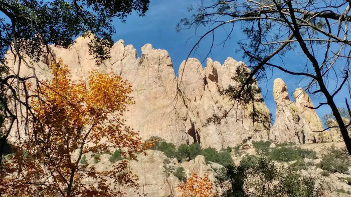 Stewart Campground 8