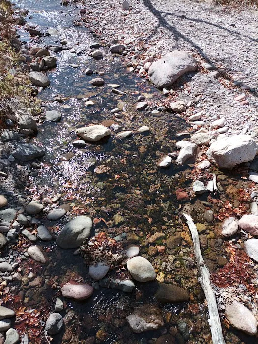 Stewart Campground 7