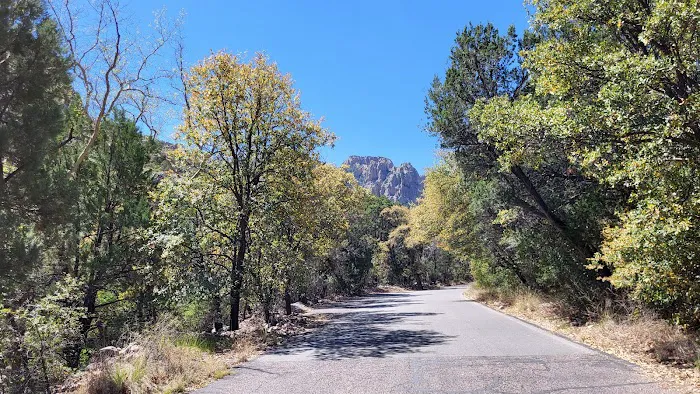 Sunny Flat Campground 1