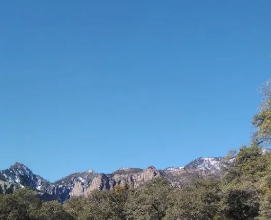 Herb Martyr Campground (recgovnpsdata)