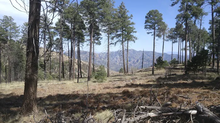 Rustler Park Campground 0