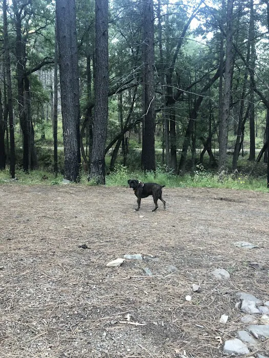 Pinery Canyon Campground 3