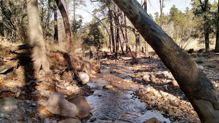 Sycamore Campground 7