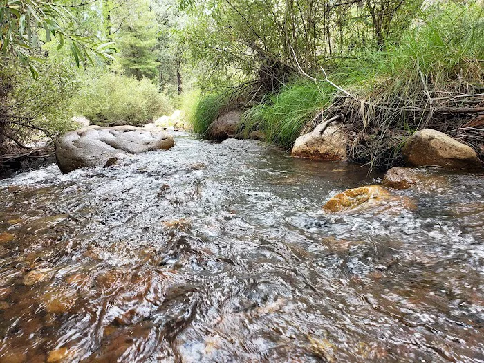 Sycamore Campground 6