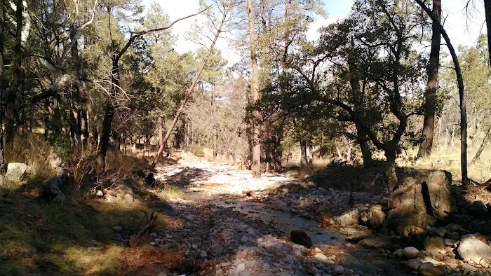 Sycamore Campground 1