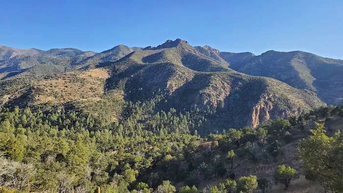 Sycamore Campground 8