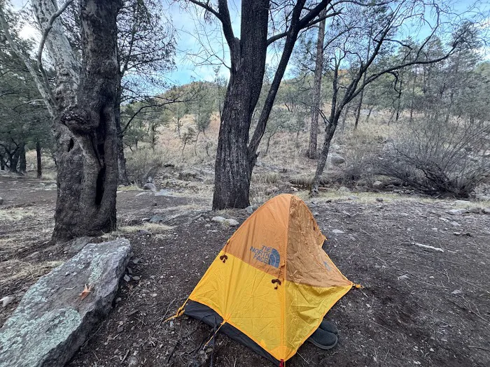 Sycamore Campground 3