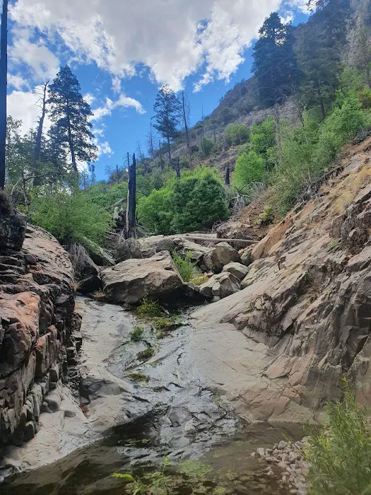 West Turkey Creek 5