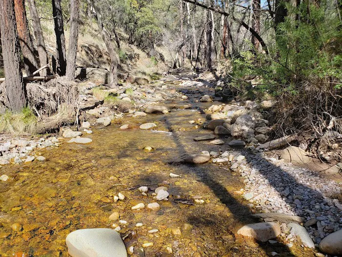 West Turkey Creek 6