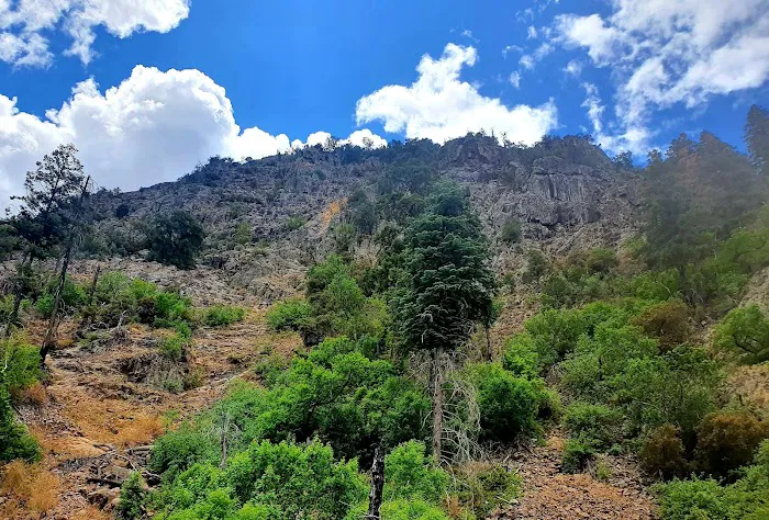 West Turkey Creek 8