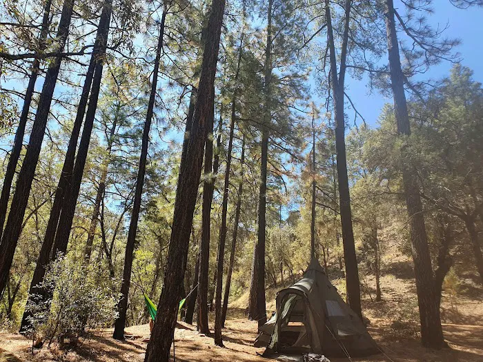 West Turkey Creek 4
