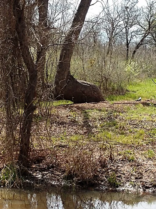Stonewall Jackson Campground 8