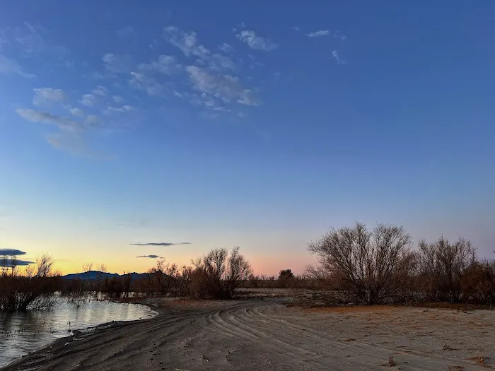 Lone Tree Lake Shore Camp 4