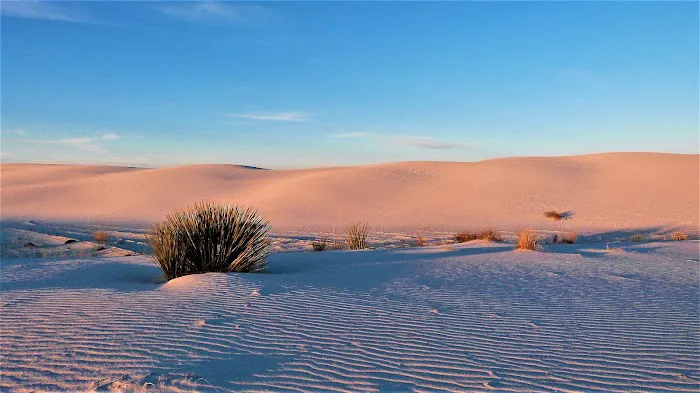 Primitive Backcountry Campsites 1