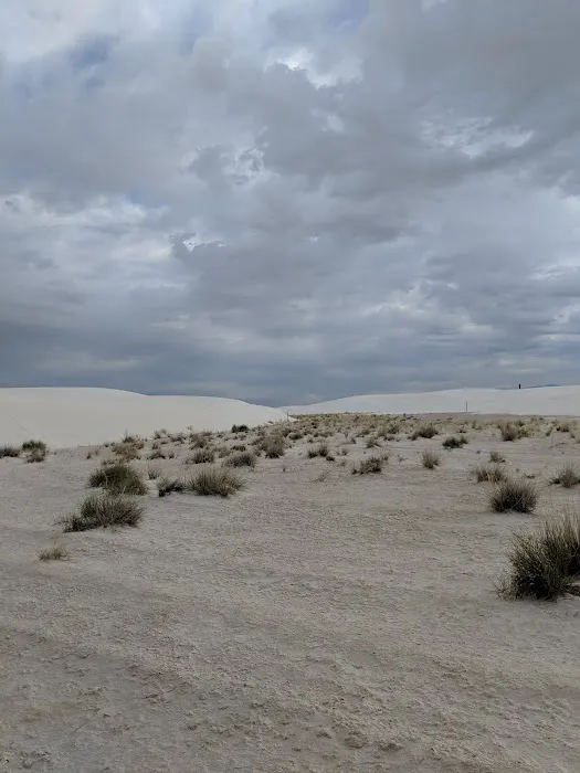 Primitive Backcountry Campsites 4
