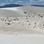 Primitive Backcountry Campsites