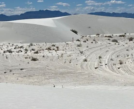 Primitive Backcountry Campsites