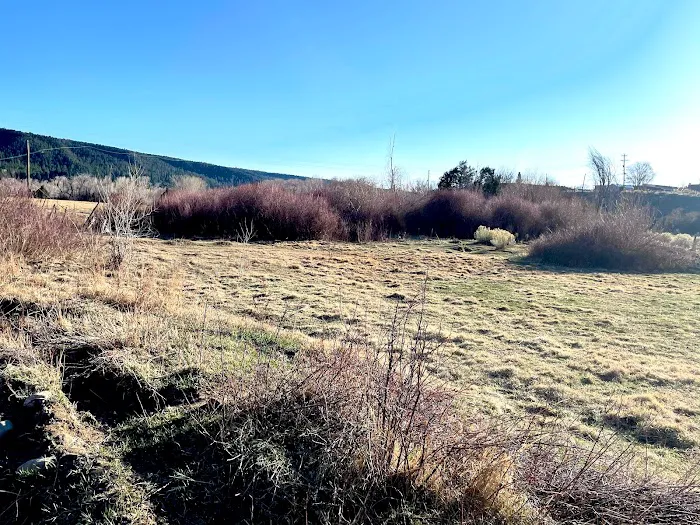 Cuesta Verde Camp/RV 1