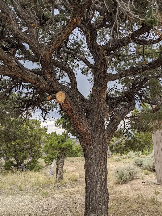 La Junta Campground 7