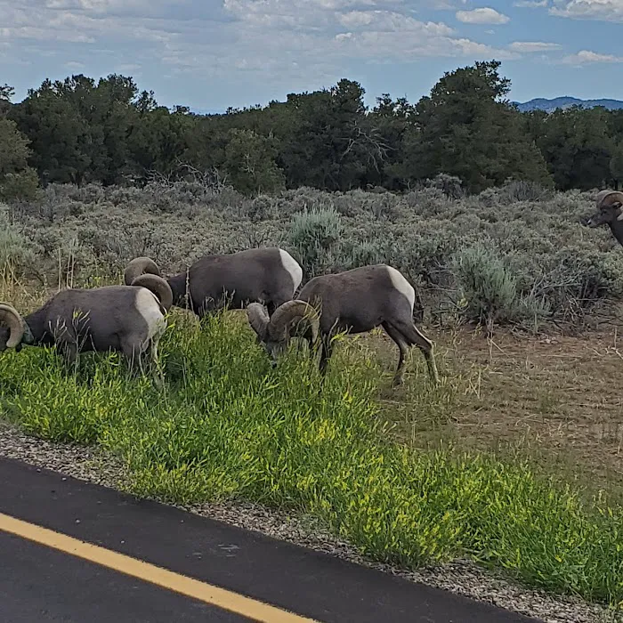 La Junta Campground 6