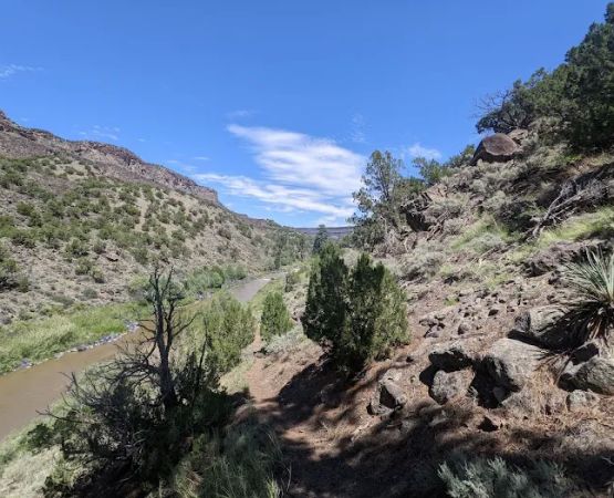 Cebolla Mesa Campground