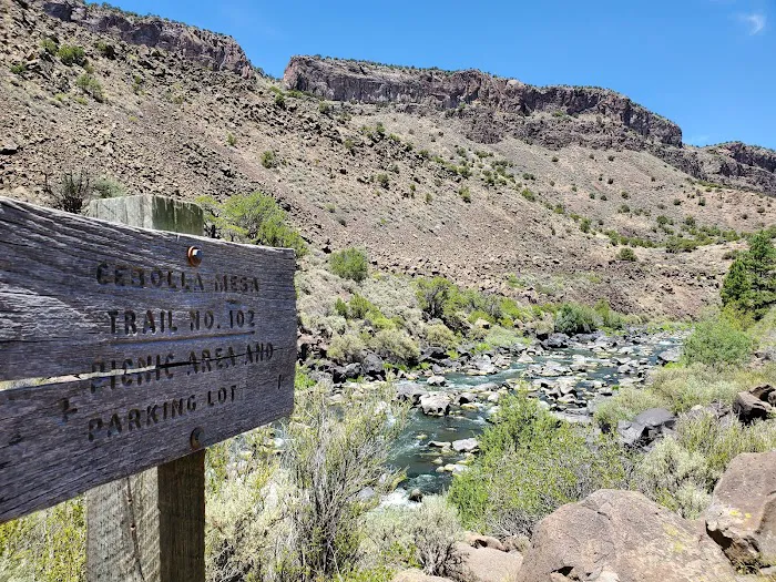Cebolla Mesa Campground 8