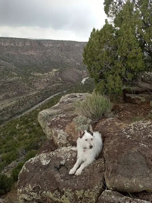 Cebolla Mesa Campground 6