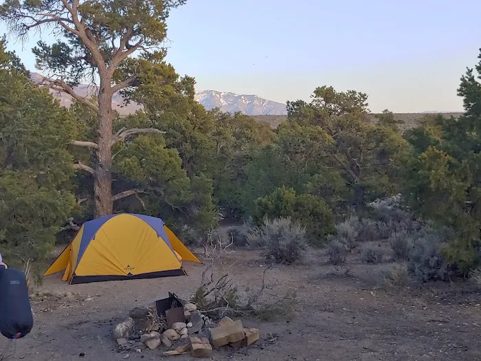 Cebolla Mesa Campground 3