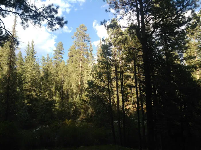 Rio De Las Vacas Campground 5