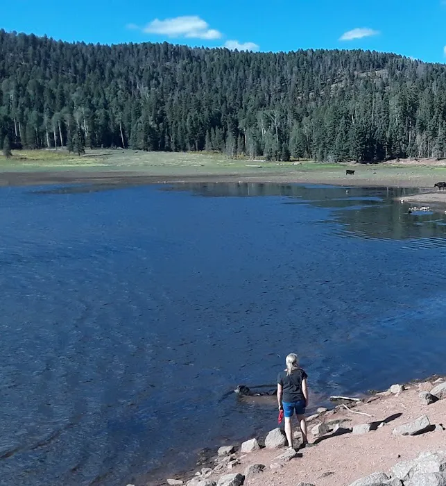 Rio De Las Vacas Campground 2