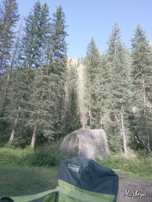 Calaveras Campground 4