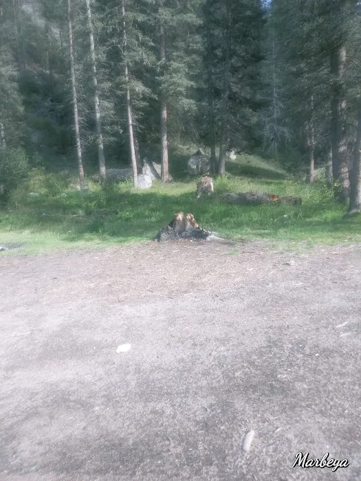 Calaveras Campground 3